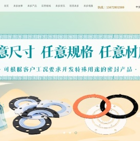 金属空心O型圈/PTFE橡胶复合垫片/金属C型圈/金属V型圈/夹弹簧金属C型圈/风管垫片/四氟橡胶成型垫片