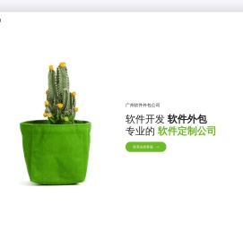 广州软件外包公司