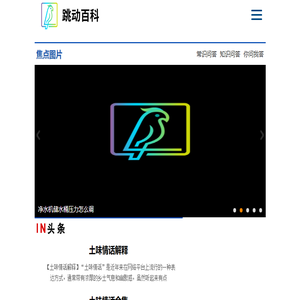 跳动百科