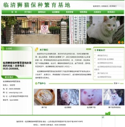 狮猫,临清狮子猫,山东狮猫