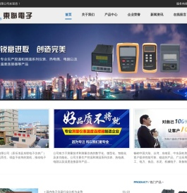 乐清市东联电子仪表有限公司