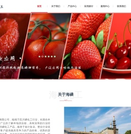 四川海磷化工有限公司Sichuan