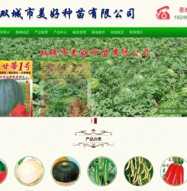 首页