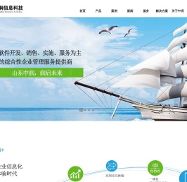 山东中润信息科技有限公司