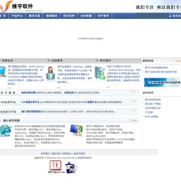 武汉维宇软件