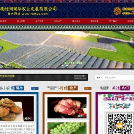 瑞丰