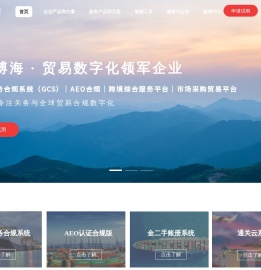 关务软件