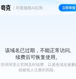 翻译公司