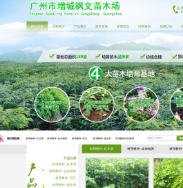 广州市增城枫文苗木场