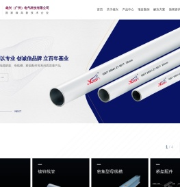 雄兴（广州）电气科技有限公司