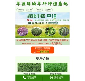河南草坪基地