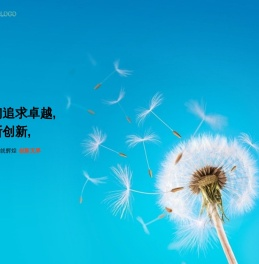 思维经验