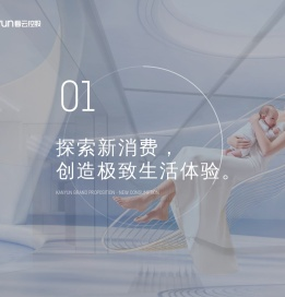 看云控股