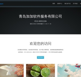 青岛加加软件服务有限公司