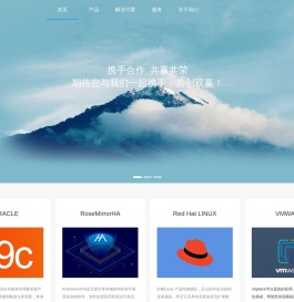 中思软件有限公司