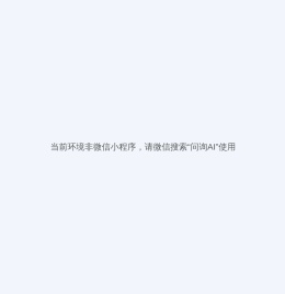 智能助手机场小岩(JCAi)