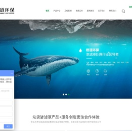 垃圾渗滤液