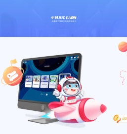 小码王