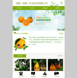 顶菓（成都）农业科技有限公司
