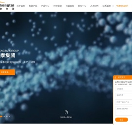 盛泰集团