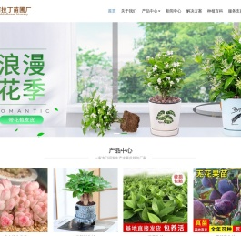 仙桃市阿拉丁苗圃厂