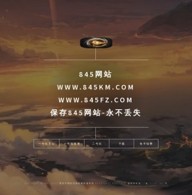 845网站