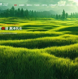 盛和资源控股股份有限公司