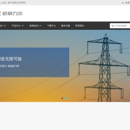 桥顿力尔（上海）电气有限公司