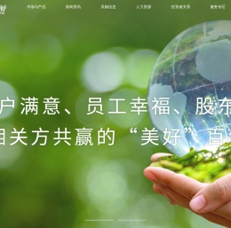 确成硅化学股份有限公司