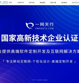 软件开发