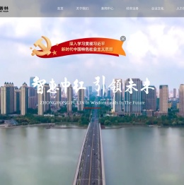 中红普林集团有限公司
