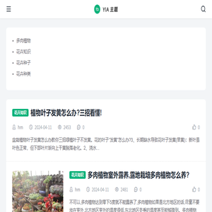 新乡市田飞网络科技有限公司