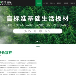 山东佰世达集团