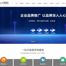 品牌全网营销推广