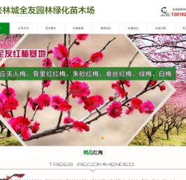 榉树/香樟/无患子/乌桕/红梅种植基地批发供应商