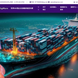 RIGMORE国际物流