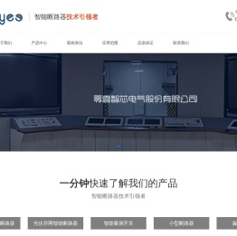 零壹智芯电气股份有限公司