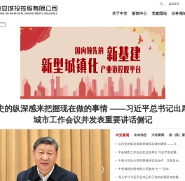 中安城投控股