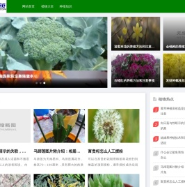 花芭莎