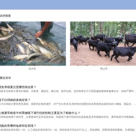 乡村致富网