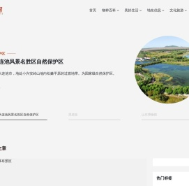 一天网