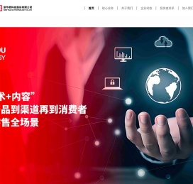 新华都科技