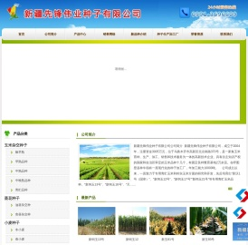 新疆玉米杂交种子厂家