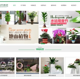 西安绿植租赁,西安绿植租摆,西安花卉租赁,西安办公室绿植租摆