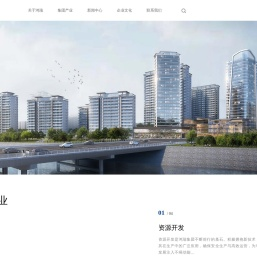 多元化大型民营企业集团