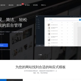 网站开发定制