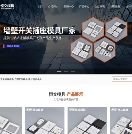 外贸墙壁开关插座塑料模具