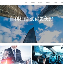 上海长阳投资有限公司