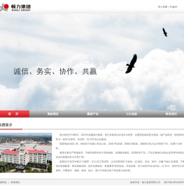 顿力集团有限公司