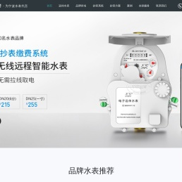 宁波水表